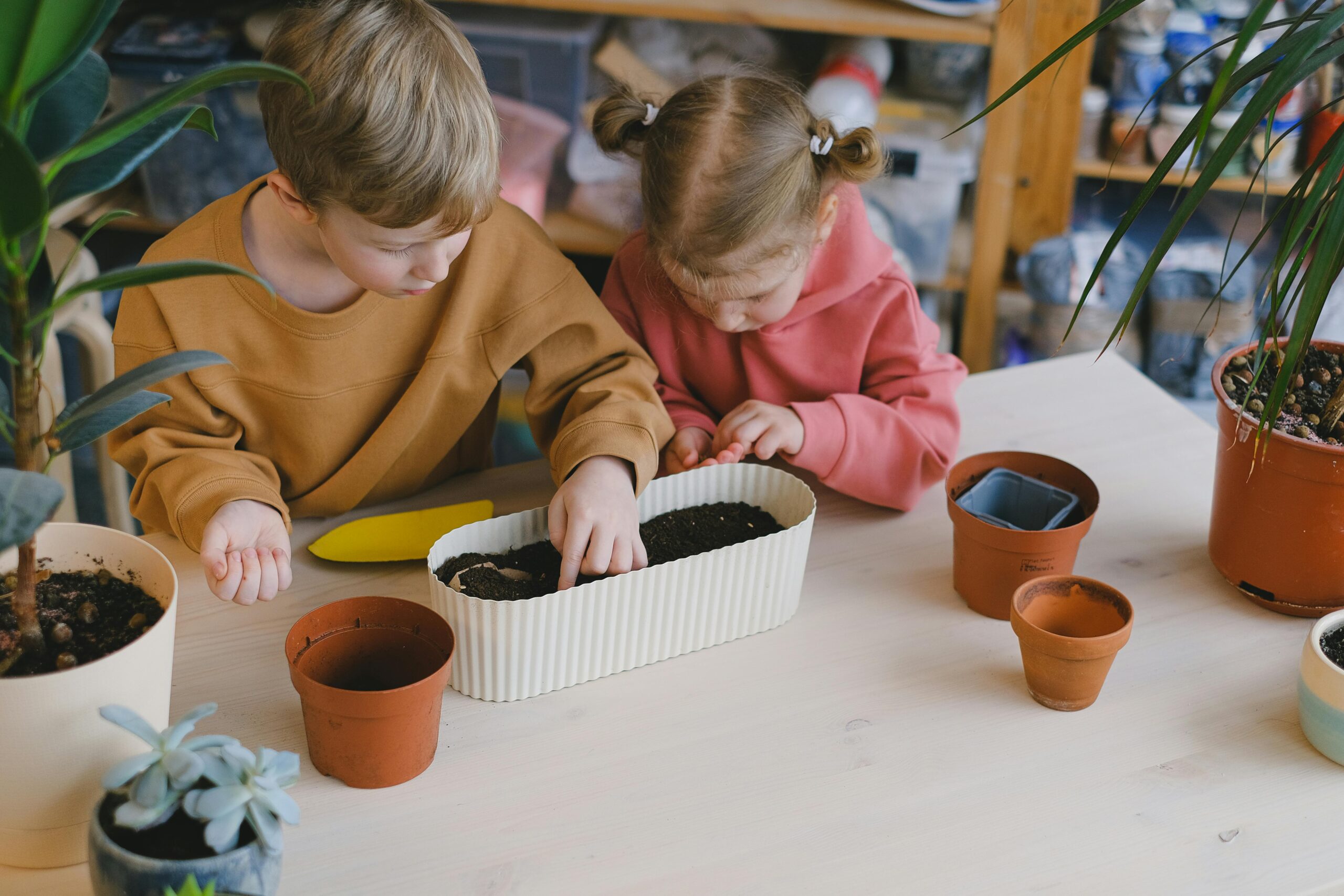 Kostenloses Stock Foto zu #indoor, aktivität, ausbildung
