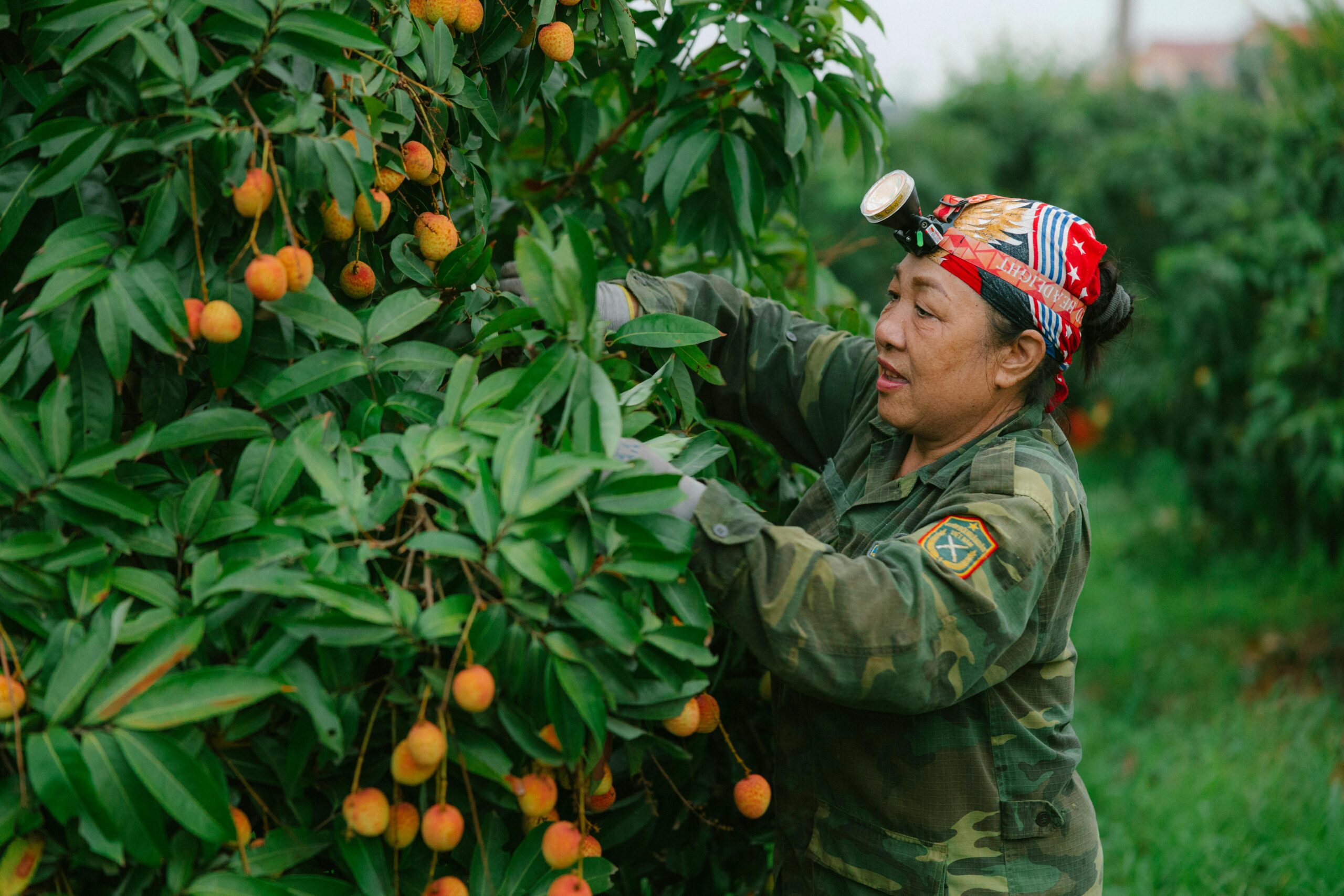 Kostenloses Stock Foto zu @draussen, arbeiter, arbeitnehmer