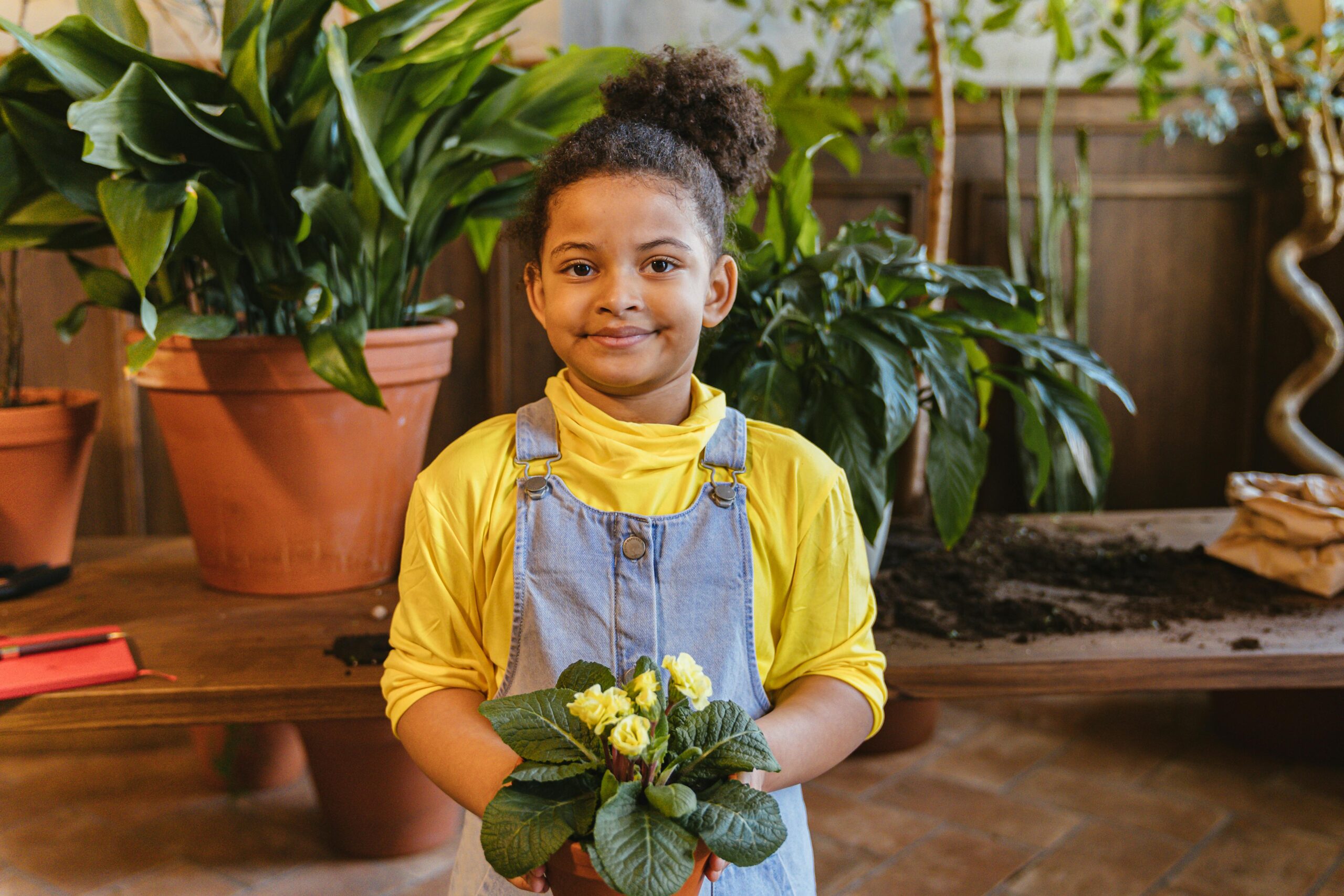Kostenloses Stock Foto zu blühende pflanze, blumentopf, boden