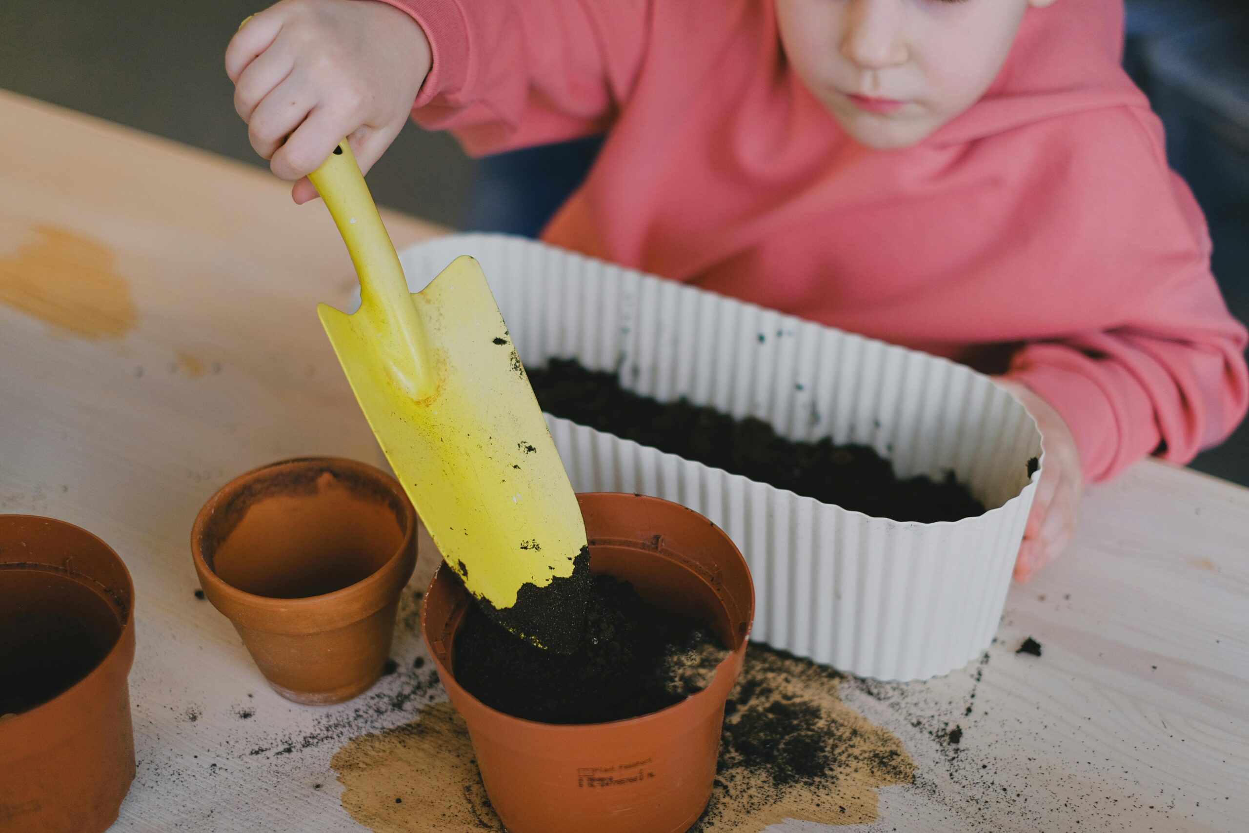 Kostenloses Stock Foto zu anbau, anfänger im garten, ausbildung